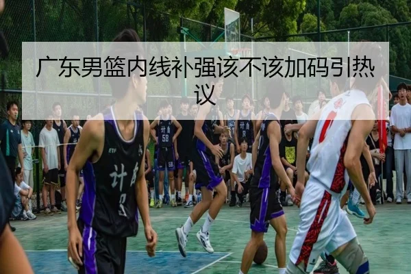 广东男篮内线补强该不该加码引热议
